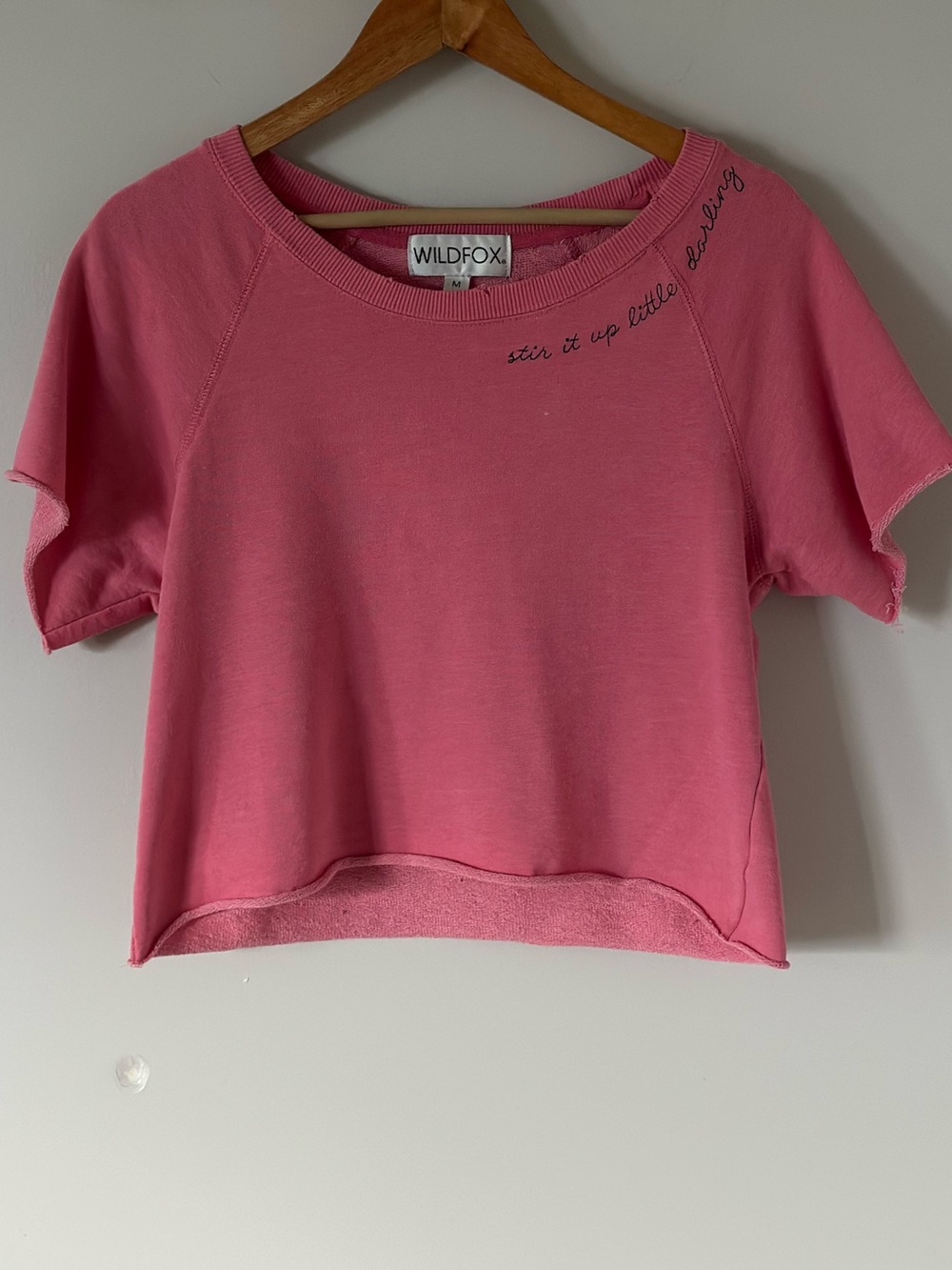 Wildfox Stir It Up Billie Shirt